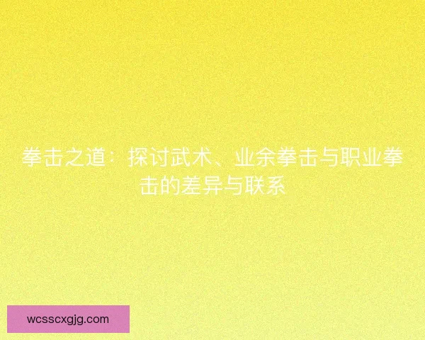 拳击之道：探讨武术、业余拳击与职业拳击的差异与联系